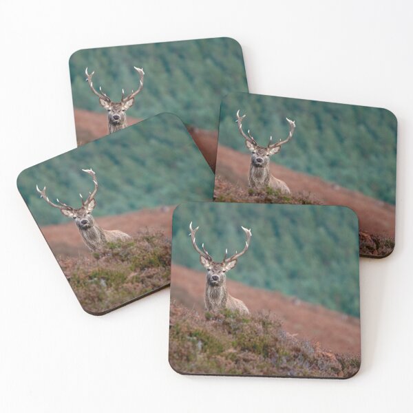 Item preview, Royal Stag designed and sold by Macrae images.