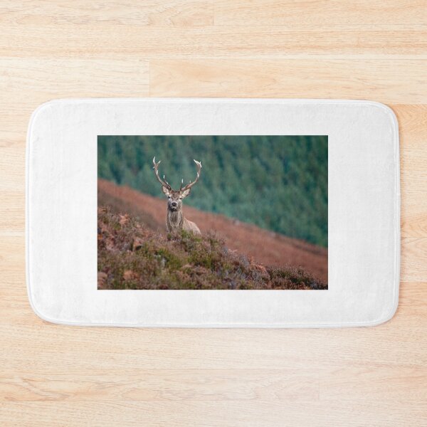 Item preview, Royal Stag designed and sold by Macrae images.