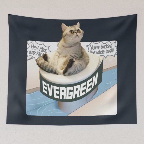 Item preview, Blocked Suez Canal Cat Meme Parody designed and sold by VinBasis.