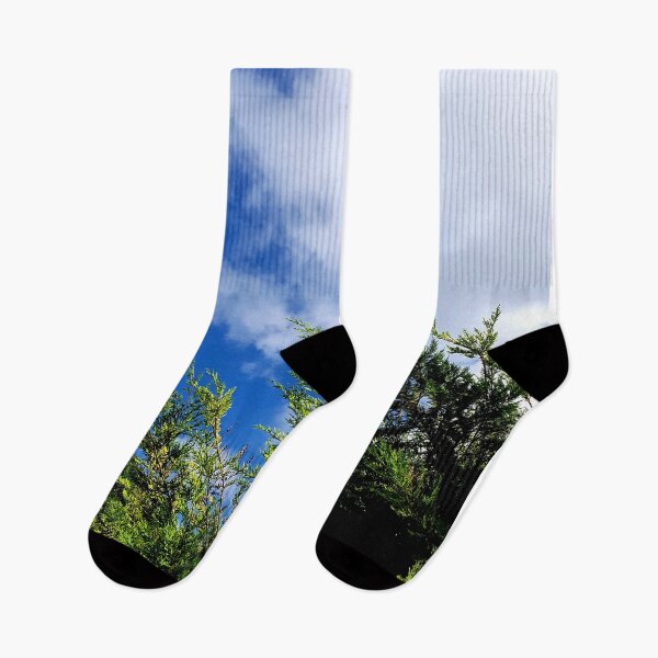 Item preview, Conifer against the sky. designed and sold by MindTravel.