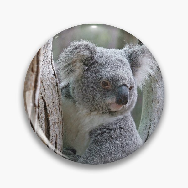 Item preview, Bushland Treasure designed and sold by LeanneAllen.