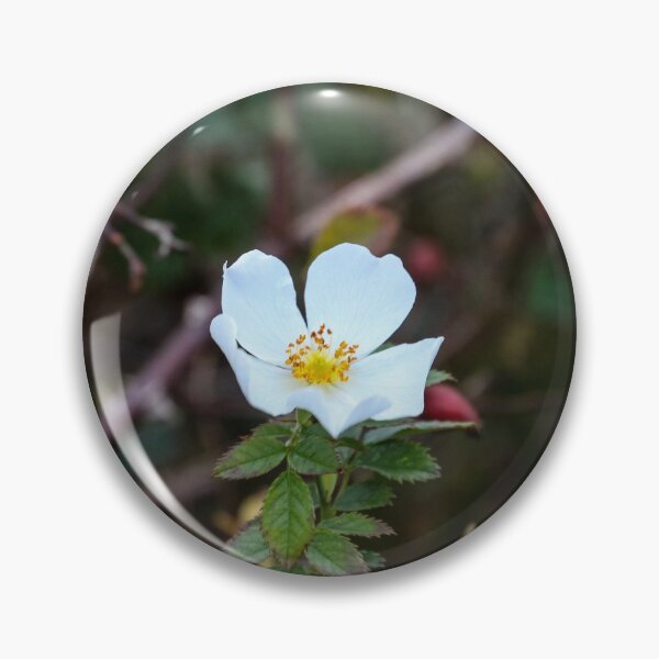 Item preview, flowering in winter designed and sold by Perggals© - Stacey Turner.