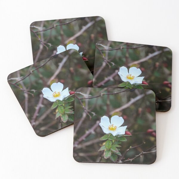 Item preview, flowering in winter designed and sold by Perggals© - Stacey Turner.