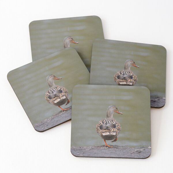 Item preview, Mallard Duck, Stepping Out designed and sold by ClaireChown.