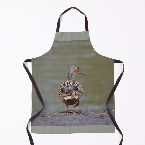 Item preview, Mallard Duck, Stepping Out designed and sold by ClaireChown.