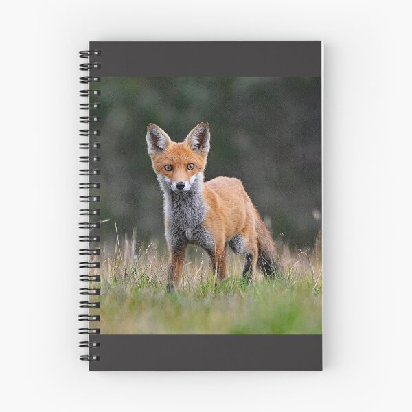 Item preview, Young red fox designed and sold by ClaireChown.