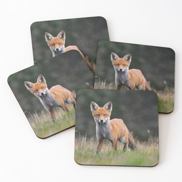 Item preview, Young red fox designed and sold by ClaireChown.