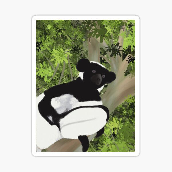 Indri (black-white lemur) Madagascar, Africa, lemur, graphic illustration, home deco, wall art, print Sticker