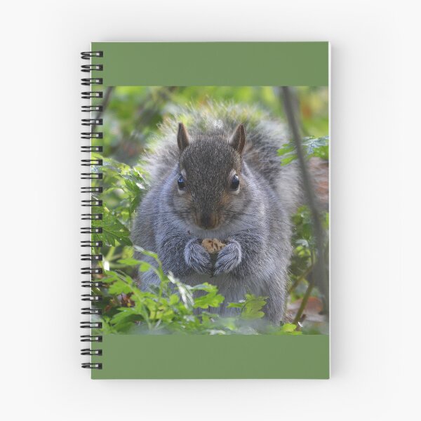 Item preview, Grey Squirrel with nut designed and sold by ClaireChown.