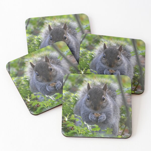 Item preview, Grey Squirrel with nut designed and sold by ClaireChown.
