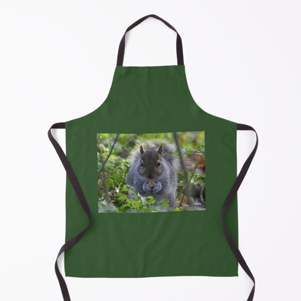 Item preview, Grey Squirrel with nut designed and sold by ClaireChown.