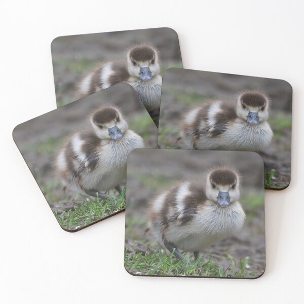 Item preview, Egyptian Gosling designed and sold by ClaireChown.