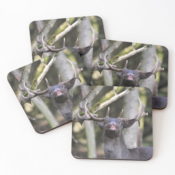 Item preview, Say Cheese designed and sold by ClaireChown.