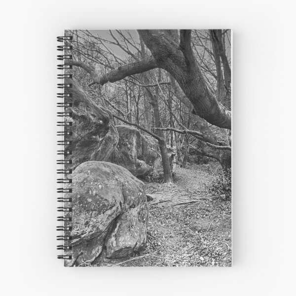 Item preview, Trees and Rocks designed and sold by Dave Godden.
