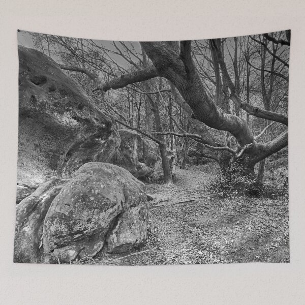 Item preview, Trees and Rocks designed and sold by Dave Godden.