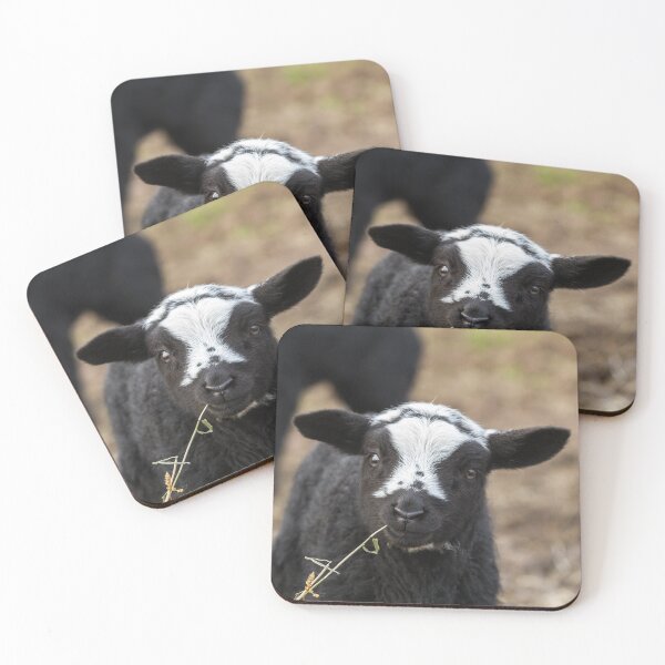 Item preview, Black and White Lamb  designed and sold by Jane Stanley Photography.