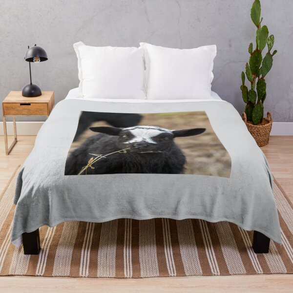 Item preview, Black and White Lamb designed and sold by Jane Stanley Photography.