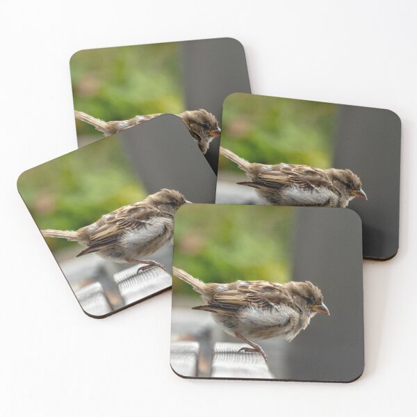 Item preview, Sparrow Bird in Norway designed and sold by HideawayPhoto.