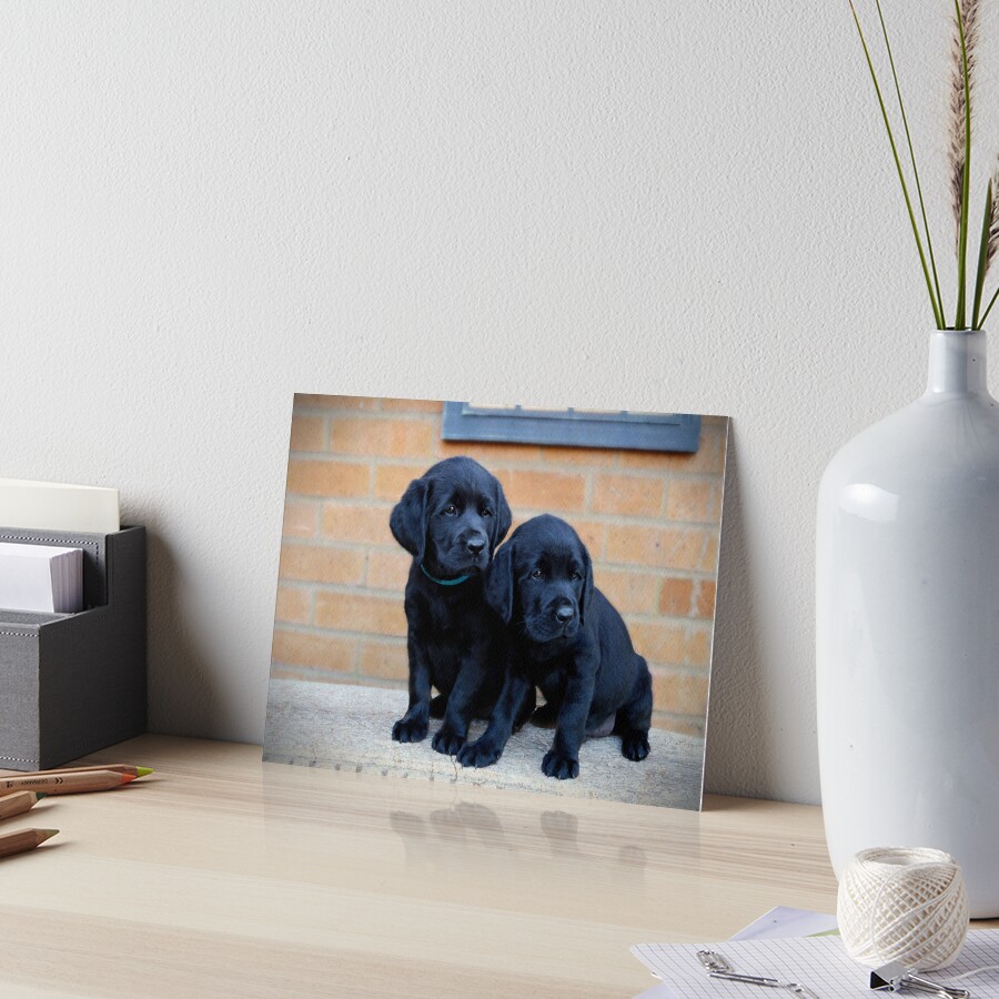 Item preview, Art Board Print designed and sold by ScenicViewPics.