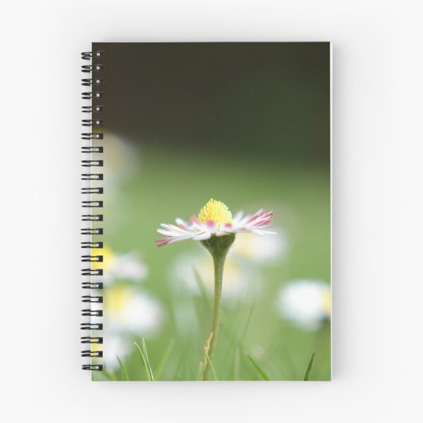 Item preview, Sweet British Garden Daisy Flower designed and sold by Tiny-Tiger.