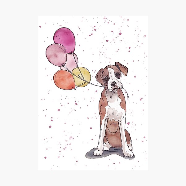 Happy Birthday Girl Photographic Print for Sale by Zoo-co