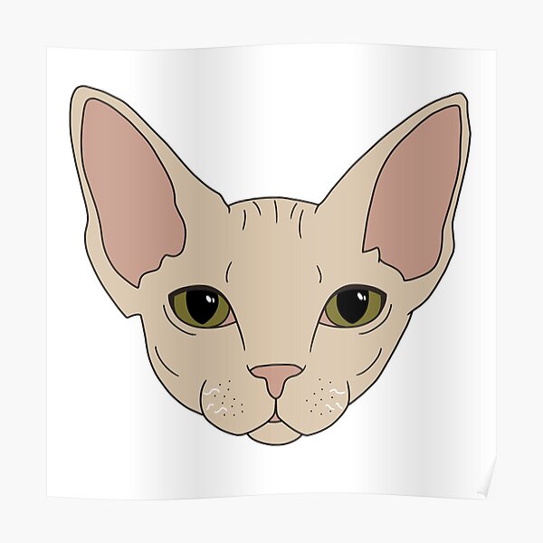 Posters Sur Le Theme Devon Rex Redbubble