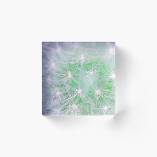 Dandelion abstract Acrylic Block