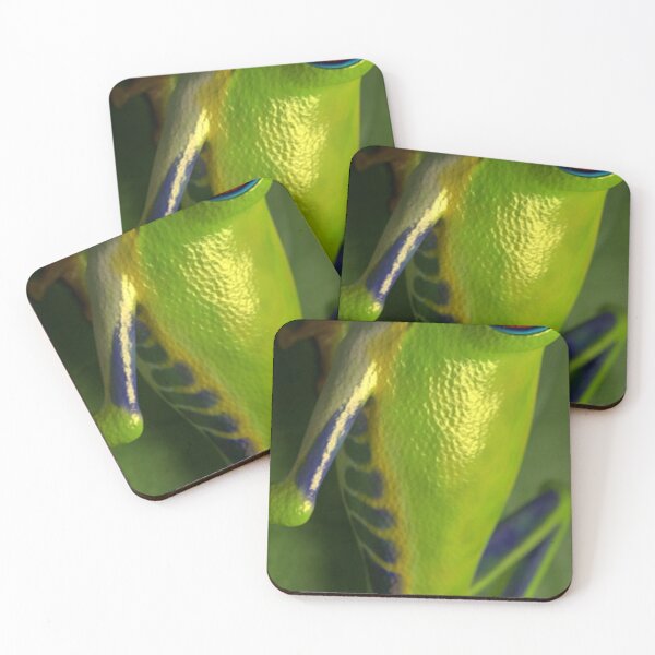 Item preview, Tree Frog Textured Skin Modern Aesthetic  designed and sold by kestrada2906.