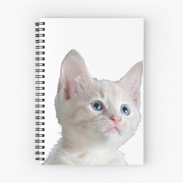 Aperçu de l'œuvre Chaton blanc mignon créée et vendue par ObiFlower.