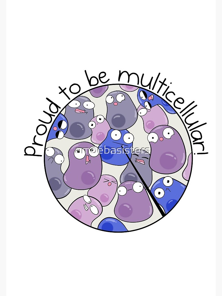 Proud to be Multicellular by amoebasisters