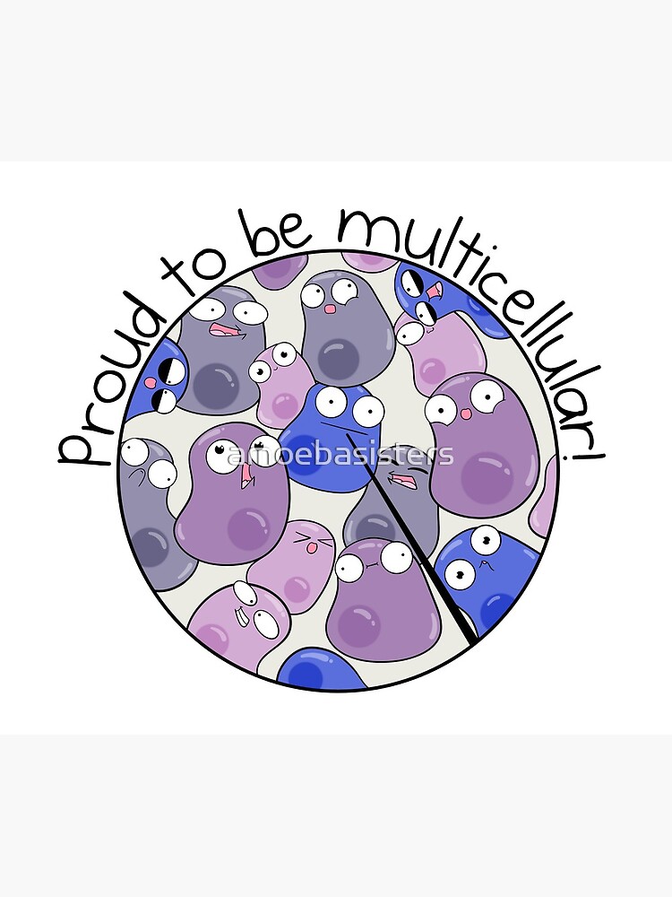 Proud to be Multicellular by amoebasisters