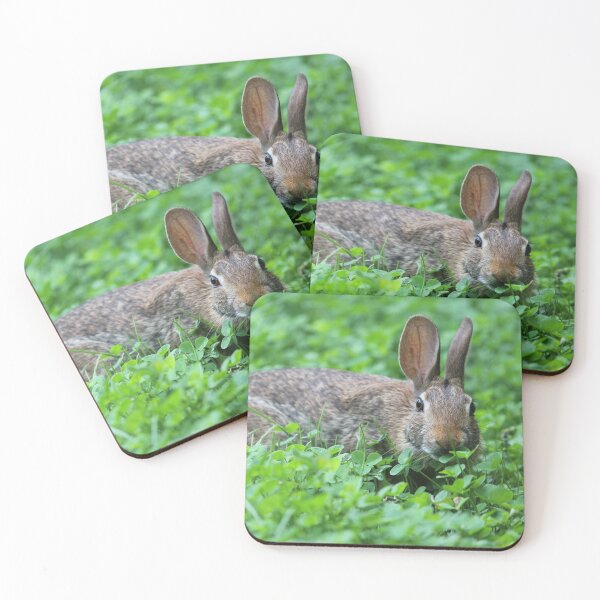 Item preview, Eastern Cottontail Eating Clover designed and sold by LisaNaturePhoto.