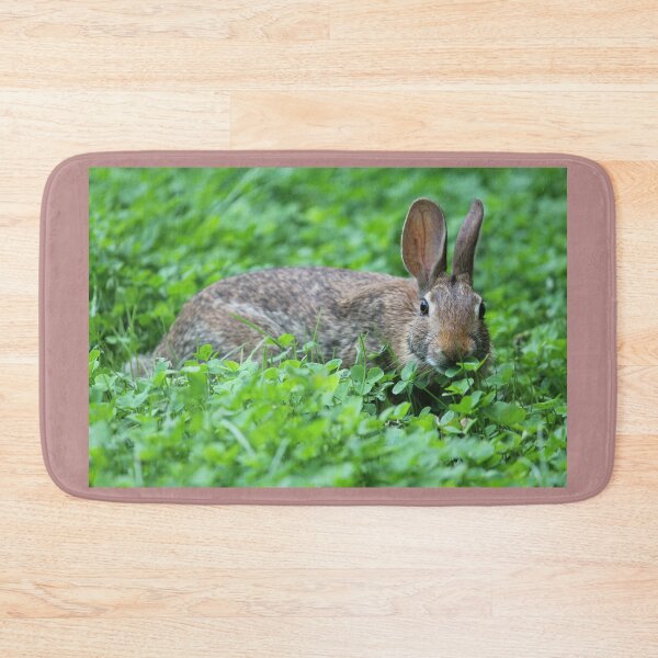 Item preview, Eastern Cottontail Eating Clover designed and sold by LisaNaturePhoto.