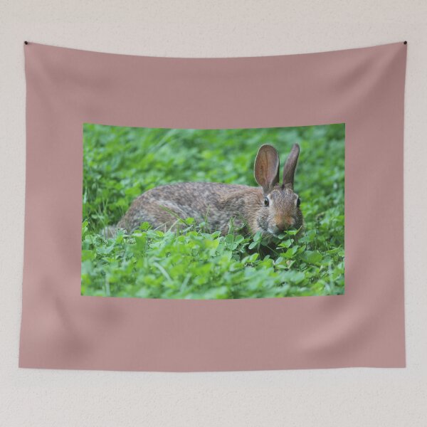Item preview, Eastern Cottontail Eating Clover designed and sold by LisaNaturePhoto.