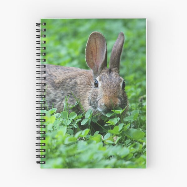 Item preview, Eastern Cottontail Eating Clover designed and sold by LisaNaturePhoto.