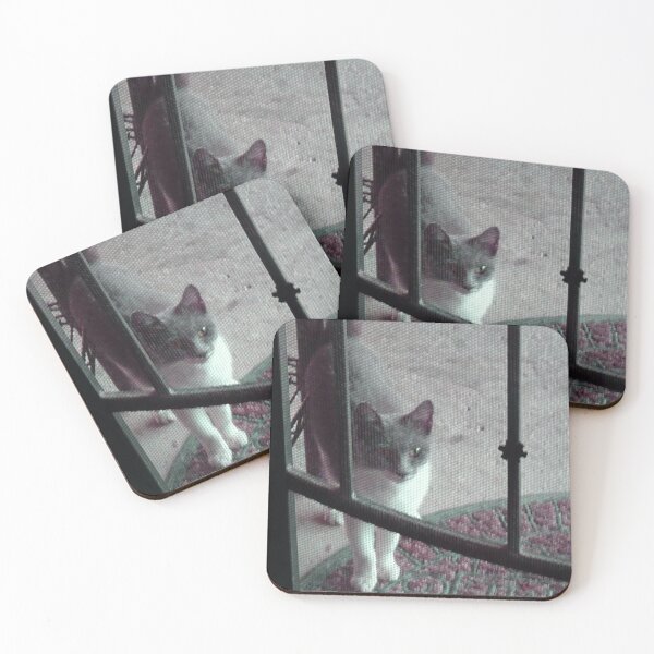 Item preview, Dinner Time Cat - Cat Waiting for Dinner designed and sold by Latorih10.