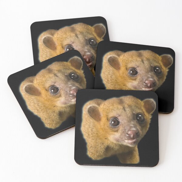 Item preview, Kinkajou designed and sold by myuniquepet.