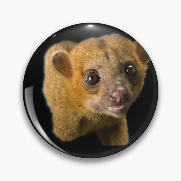 Item preview, Kinkajou designed and sold by myuniquepet.