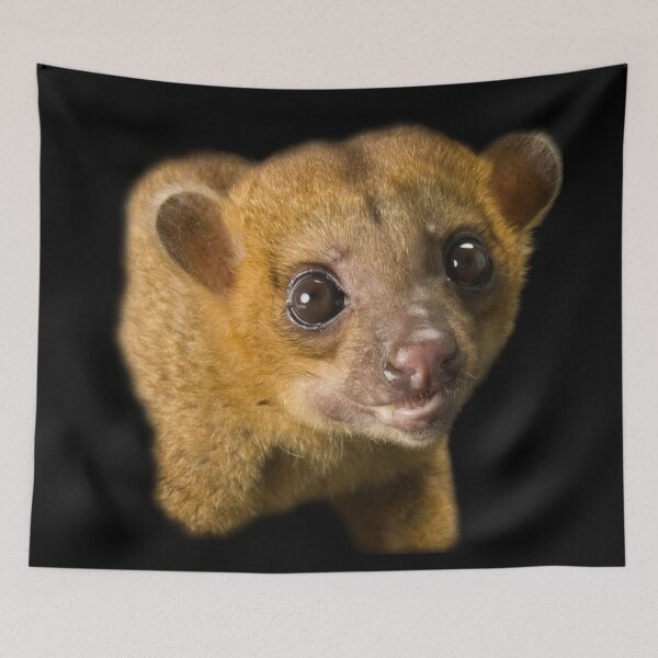 Item preview, Kinkajou designed and sold by myuniquepet.