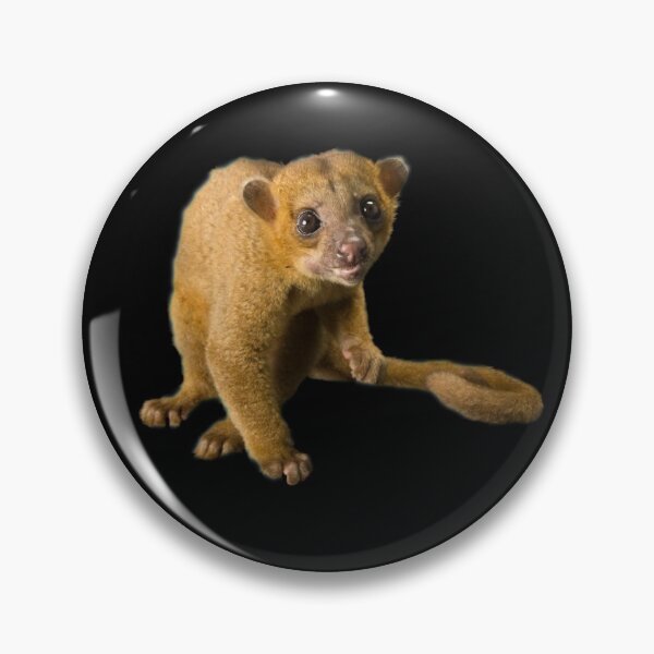 Item preview, Kinkajou designed and sold by myuniquepet.
