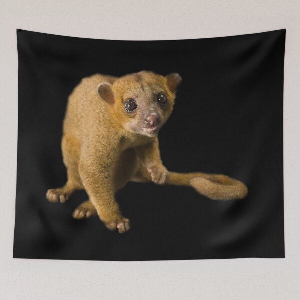 Item preview, Kinkajou designed and sold by myuniquepet.