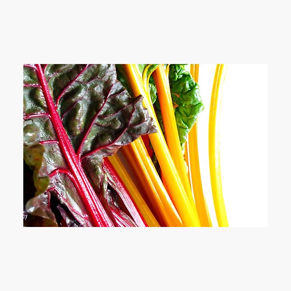 Yellow And Red Chard - Healthy And Colorful Veggies Photographic Print