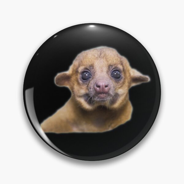 Item preview, Kinkajou designed and sold by myuniquepet.