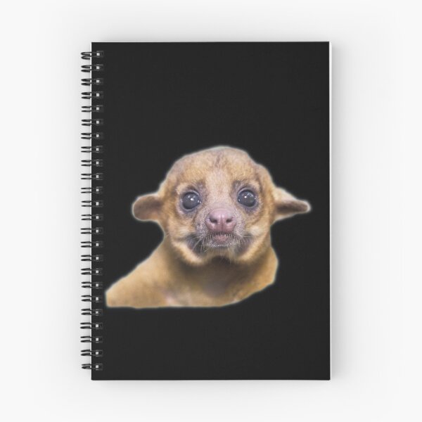Item preview, Kinkajou designed and sold by myuniquepet.