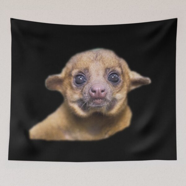Item preview, Kinkajou designed and sold by myuniquepet.