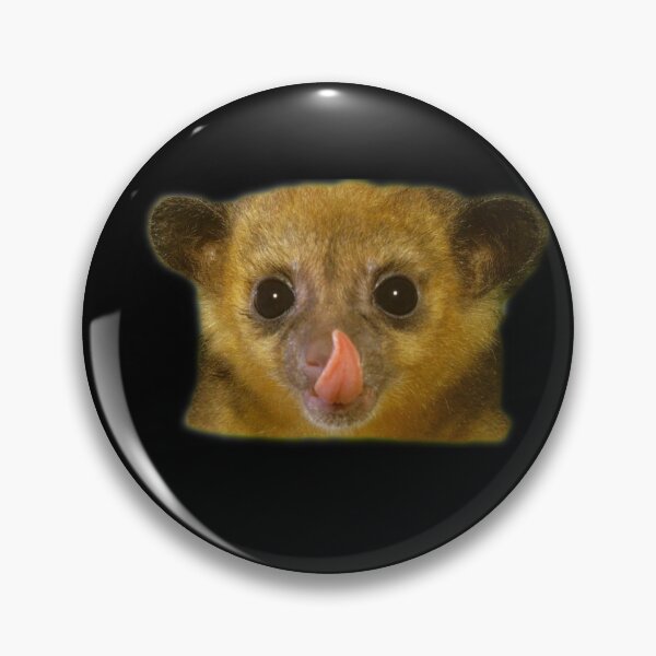 Item preview, Kinkajou designed and sold by myuniquepet.