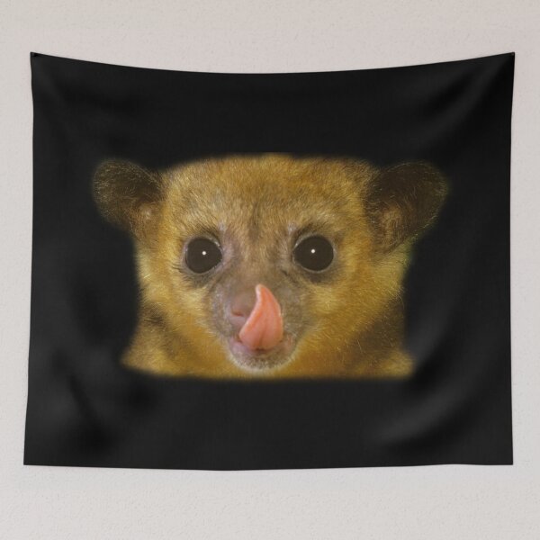 Item preview, Kinkajou designed and sold by myuniquepet.
