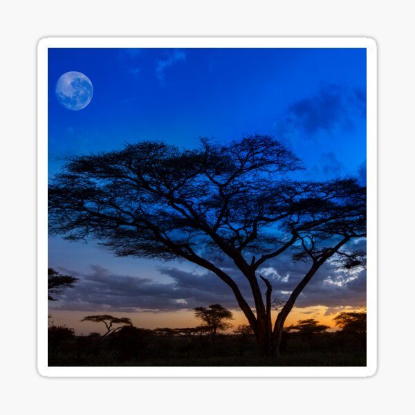 Aperçu de l'œuvre  coucher de soleil africain, art mural africain, art africain, tirages d'Afrique, impression d'art Afrique, tirages photo métal Afrique, photo sur métal, photo sur métal, tirages d'art en métal créée et vendue par eyesight4vision.