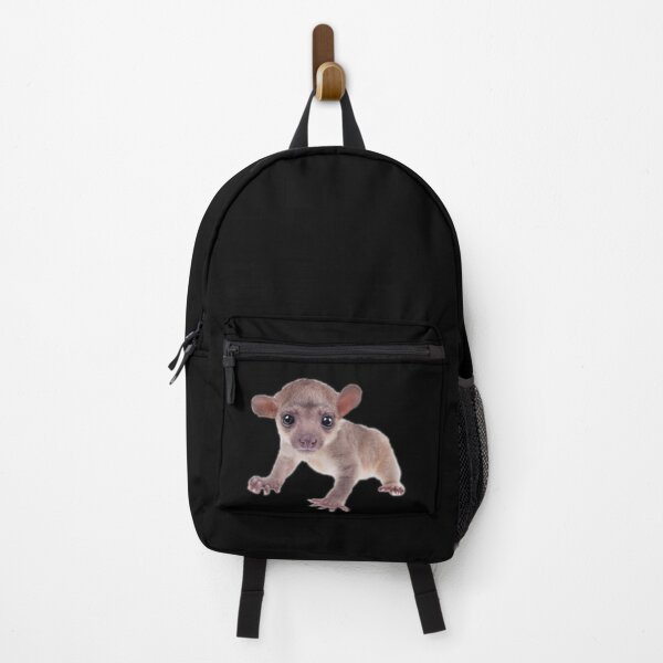 Item preview, Baby Kinkajou designed and sold by myuniquepet.