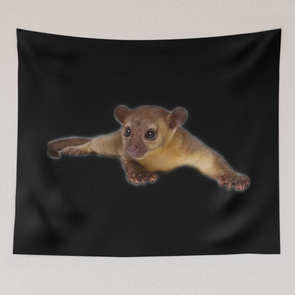 Item preview, Kinkajou designed and sold by myuniquepet.